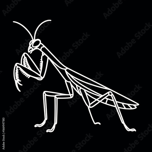 Stylized white praying mantis outline dedesign on a black background