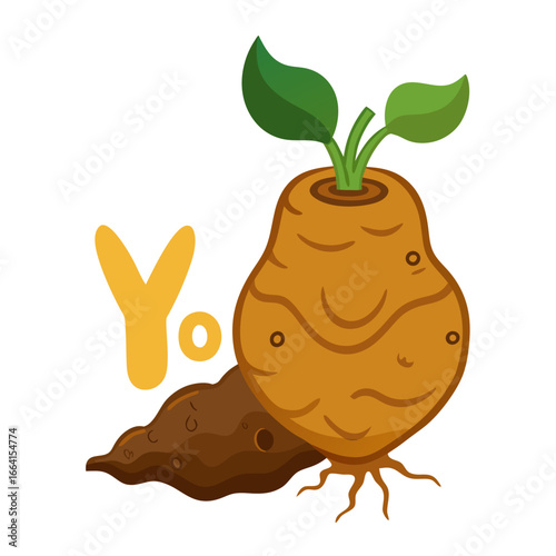 Unique vector drawing of elephant foot yam (ol) root with soil texture, white background