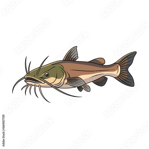 catfish a freshwater catfish swimming gracefully in clear water its whiskers extended ideal for educational materials or environmental awareness campaigns.