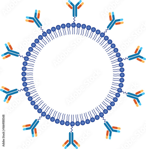 Liposome Design Vector.