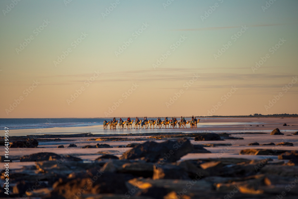 Naklejka premium Cable Beach, Broome, camels on the shore at sunset. Western Australia