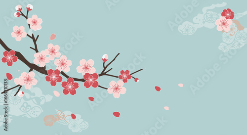 Cherry blossom branch with falling petals on soft blue background