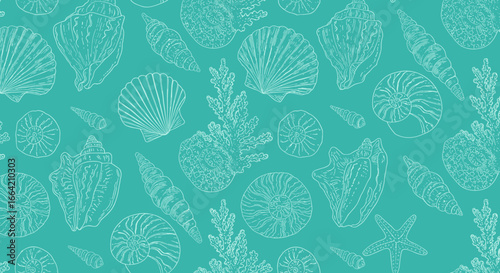 Hand-drawn seashells and marine life pattern on teal background