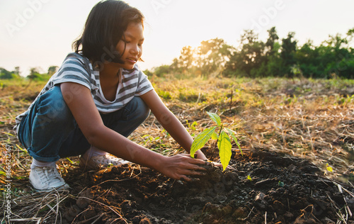 young girl is planting  tree in  field