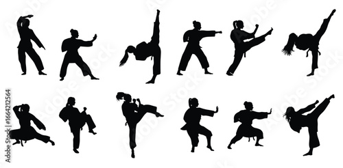 Elegant and powerful women martial arts silhouettes