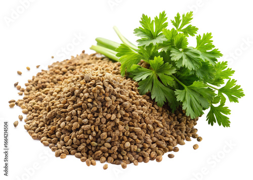 Celery seeds (true) isolated on white background