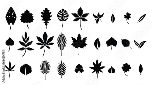 Set of Leaves