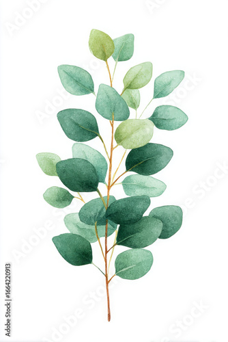 Watercolor illustration of green leaf branch, showcasing various shades of green and delicate