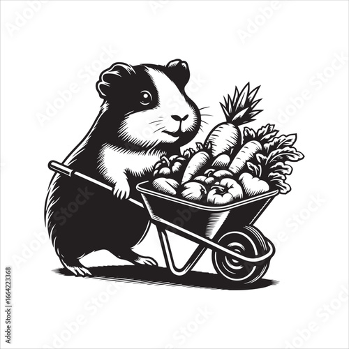 Guinea pig pushing wheelbarrow full of vegetables on white background rodent animal