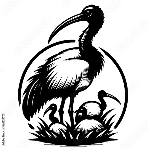 A graphic illustration of a black and white ibis with its young in a nest surrounded by an oval frame
