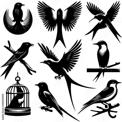Illustration of nine black and white birds in various poses including flying and perched on branches