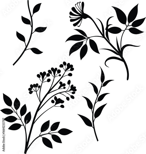 Botanical Silhouettes A Study in Floral and Foliage Designs Featuring Branches Leaves Berries and a Whimsical Flower