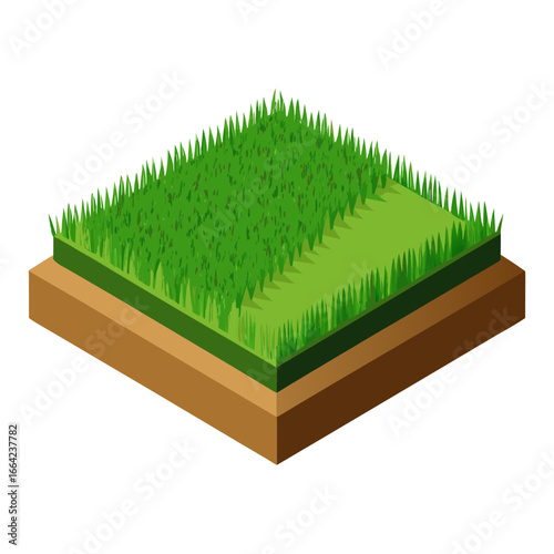 green grass in a box