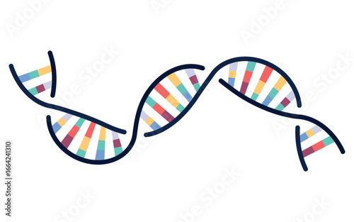 Curved colorful DNA helix icon symbolizing genetics, science, biology, healthcare, research, and biotechnology innovation.