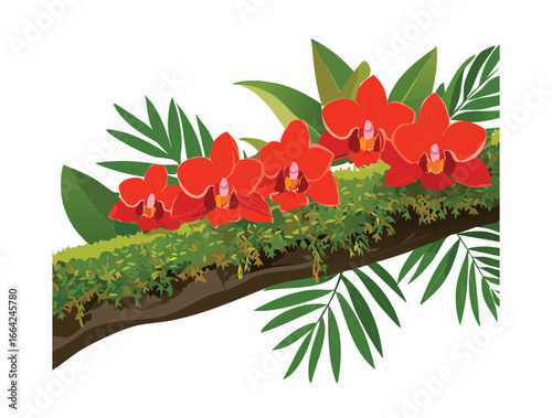 Beautiful Red Orchid Flowers on a Mossy Wooden Branch
