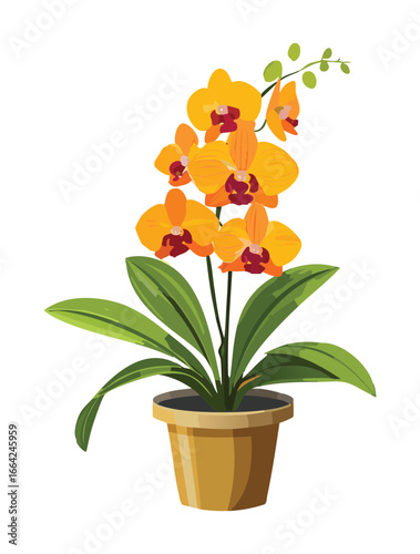 Beautiful Orange Potted Orchid with Green Leaves