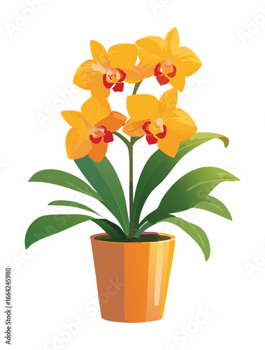 Beautiful Orange Orchid Plant with Green Leaves in a Pot