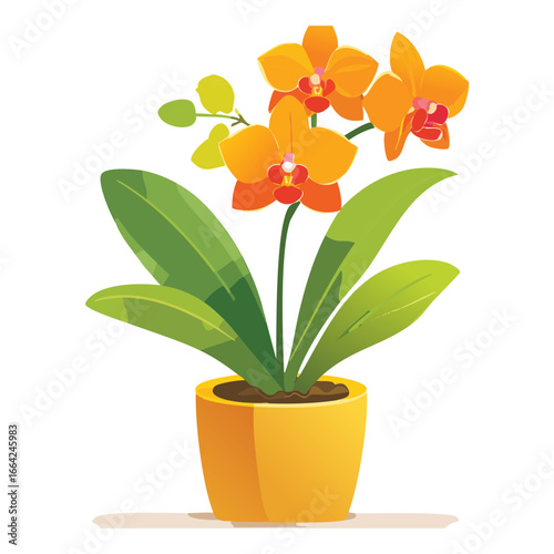  Beautiful Orange Phalaenopsis Orchid Houseplant in a Pot