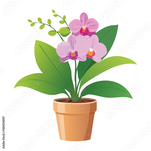 Wallpaper Mural A beautiful pink and purple Phalaenopsis orchid plant with multiple blossoms in a terracotta pot, a vibrant and elegant floral illustration for spring and home decor projects Torontodigital.ca