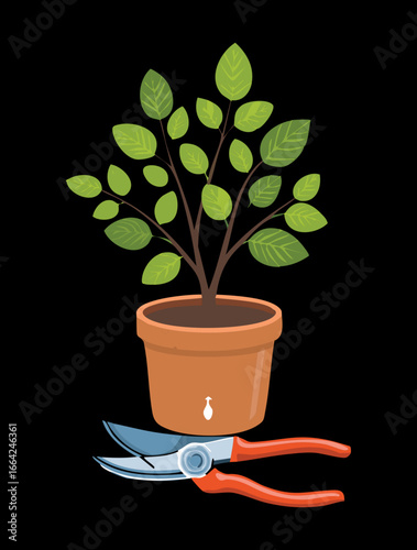 A Pair of Red Pruning Tools and a Potted Green Bush