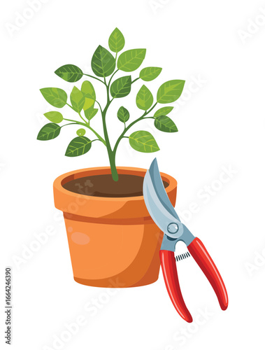 Home Gardening Pruning Tools and a Potted Green Bush