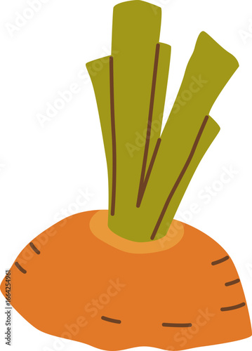 Carrot Scrap Waste for Composting
