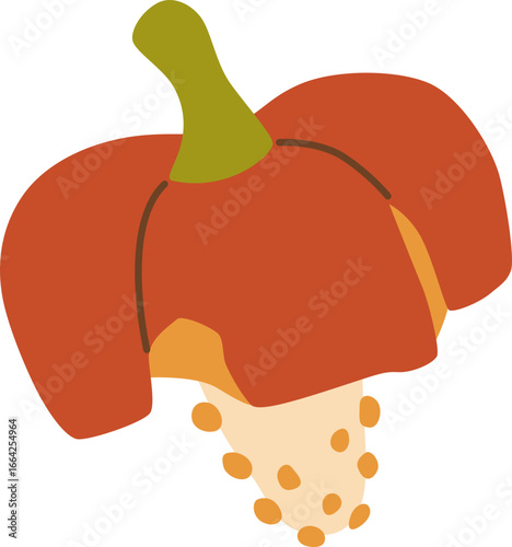 Bell Pepper Scrap Waste for Composting
