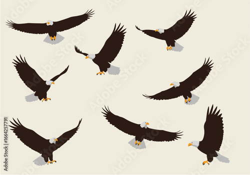 Boomerangs collection in brown and black colors