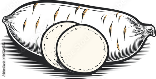 White root vegetable with sliced pieces food illustration
