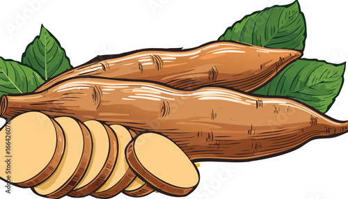 Raw root vegetables with green leaves cassava yuca