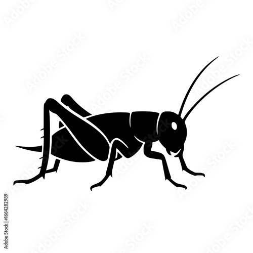 Silhouette of a cricket
