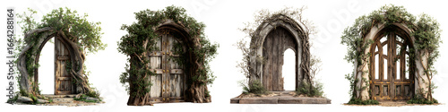 Collection of Enchanted Fairy Tale Doors Covered in Vines, Isolated