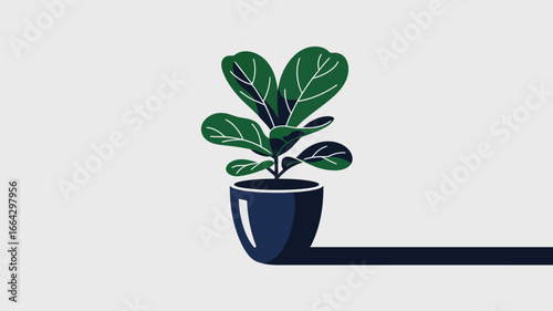 A simple illustration of a fiddle leaf fig plant in a dark blue pot with a long shadow casted on white