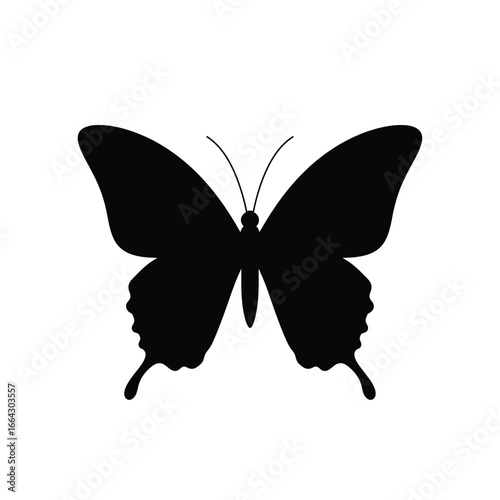 Black butterfly silhouette insect wings