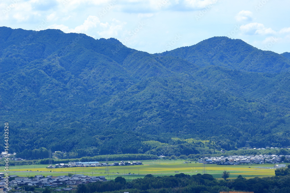 Naklejka premium 山裾に広がる田畑と住宅