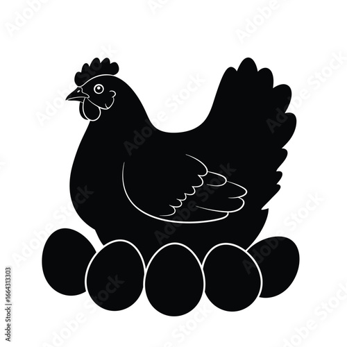 Black hen with eggs chicken white
