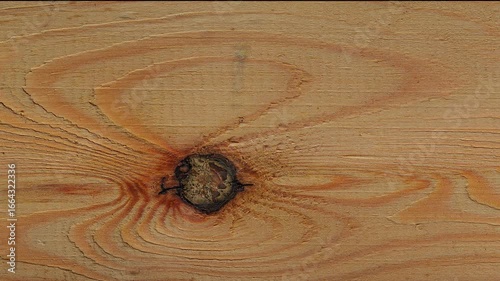 Close-up wood grain for background