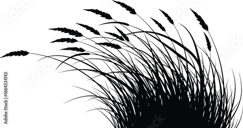 Elegant flowing grass silhouette blowing gently in the breeze design element
