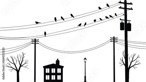 Silhouette illustration of birds perched on electric wires with utility poles, street lamp, trees, and a house in quiet urban neighborhood scene