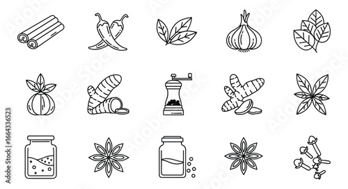 Spice and herb icons set; Cinnamon sticks, chili peppers, basil leaves, garlic bulb, ginger root, turmeric. Vector