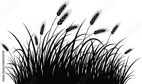Elegant wheat field silhouette against clean white background design asset