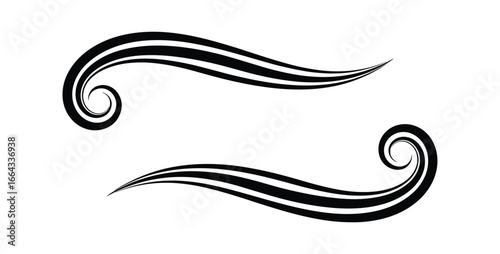 Elegant decorative swirls for design. Two black calligraphic ornaments isolated on white. Vector illustration.