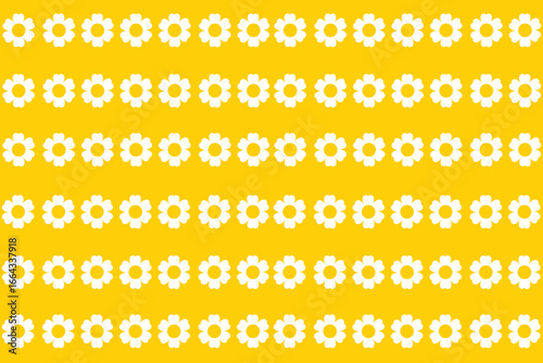 seamless pattern with daisy flower