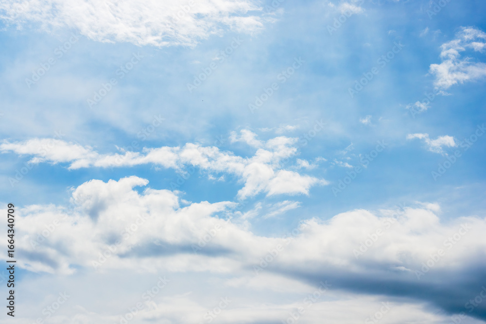 Fototapeta premium 夏の空 午後の空と雲14