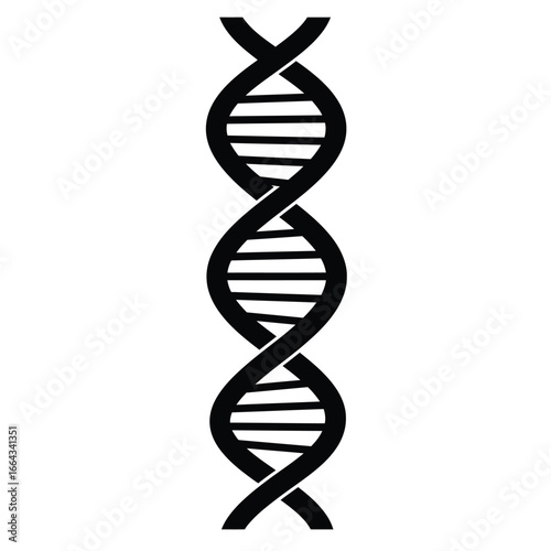 Black D N A helix structure double strand