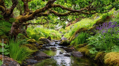  A lush green forest lines a stream with abundant trees and plants on either side