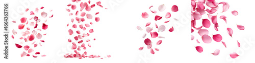 Wallpaper Mural Falling Pink Rose Petals: Romantic Background Overlay Torontodigital.ca