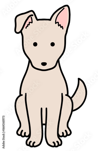 犬・保護犬・雑種犬／クリーム色の犬