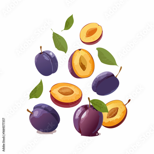 set of plums falling vector fruit design
