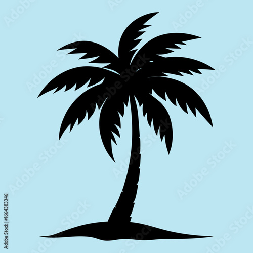 silhouette of palm tree